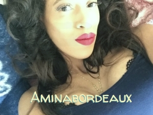 Aminabordeaux