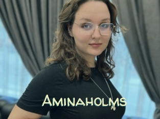 Aminaholms