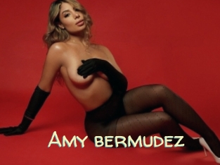 Amy_bermudez