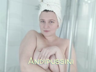 Andipussini