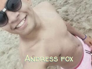 Andress_fox
