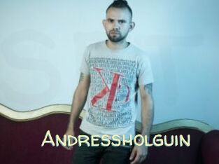 Andressholguin