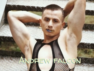 Andrew_falcon