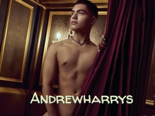 andrewharrys Sexy Tchat