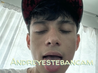 Andreyestebancam