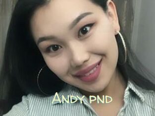 Andy_pnd