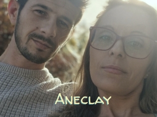 Aneclay