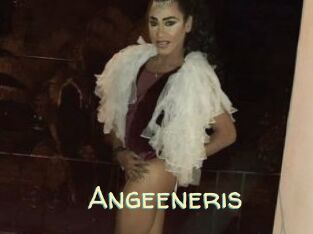 Angeeneris