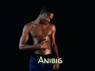 Anibig