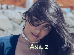 Aniliz