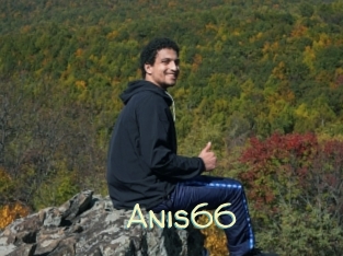 Anis66