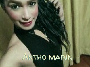 Antho_marin