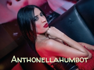 Anthonellahumbot