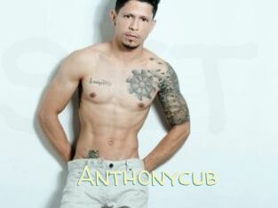 Anthonycub