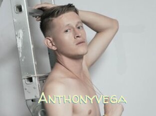 anthonyvega Sexy Tchat