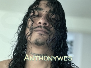 Anthonywes