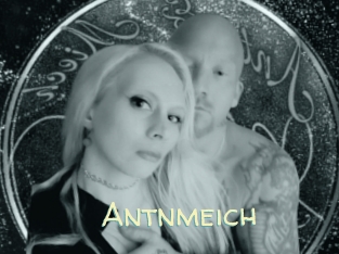 Antnmeich