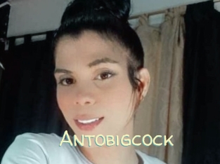 Antobigcock