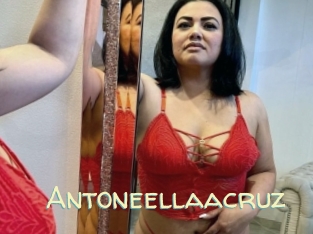 Antoneellaacruz