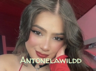 Antonelawildd