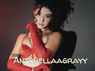 Antonellaagrayy