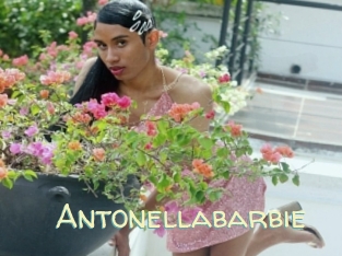 Antonellabarbie