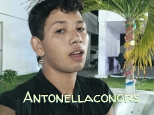 Antonellaconors