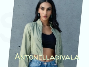 Antonelladivala