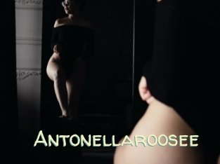 Antonellaroosee