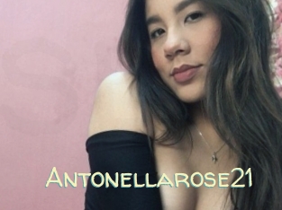 Antonellarose21