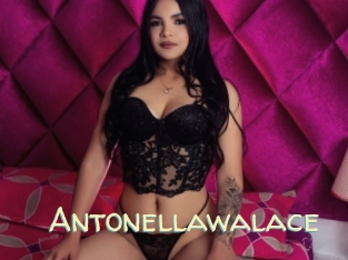 Antonellawalace
