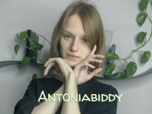 Antoniabiddy