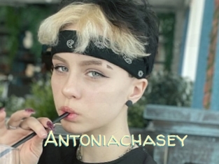 Antoniachasey