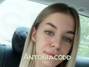 Antoniacodd