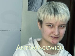 Antoniacowick