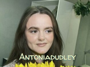 Antoniadudley