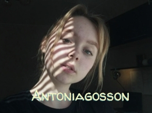 Antoniagosson