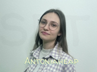 Antoniaheap