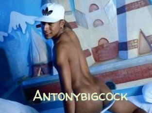 Antonybigcock