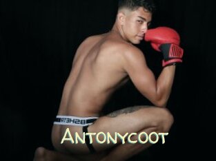 Antonycoot