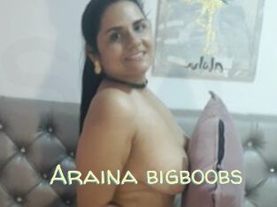 Araina_bigboobs