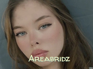 Areabridz