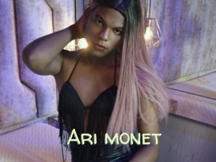 Ari_monet