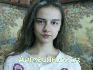 Ariasunflower