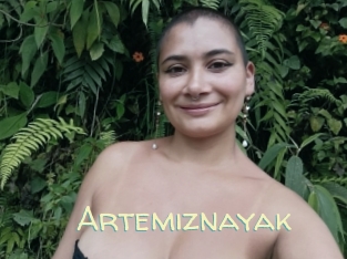 Artemiznayak