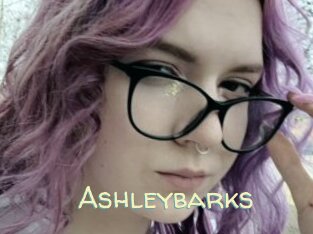 Ashleybarks