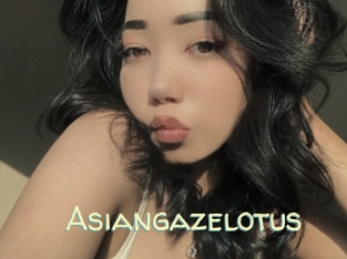 Asiangazelotus