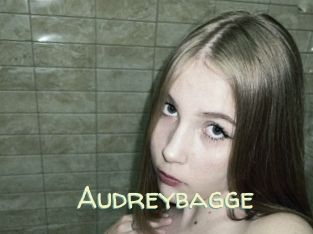 Audreybagge