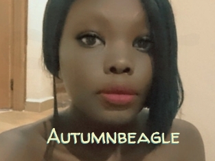 Autumnbeagle