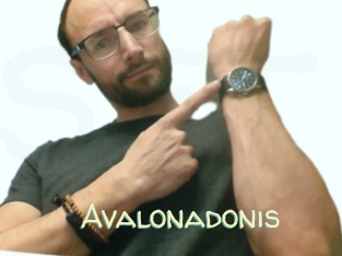 Avalonadonis